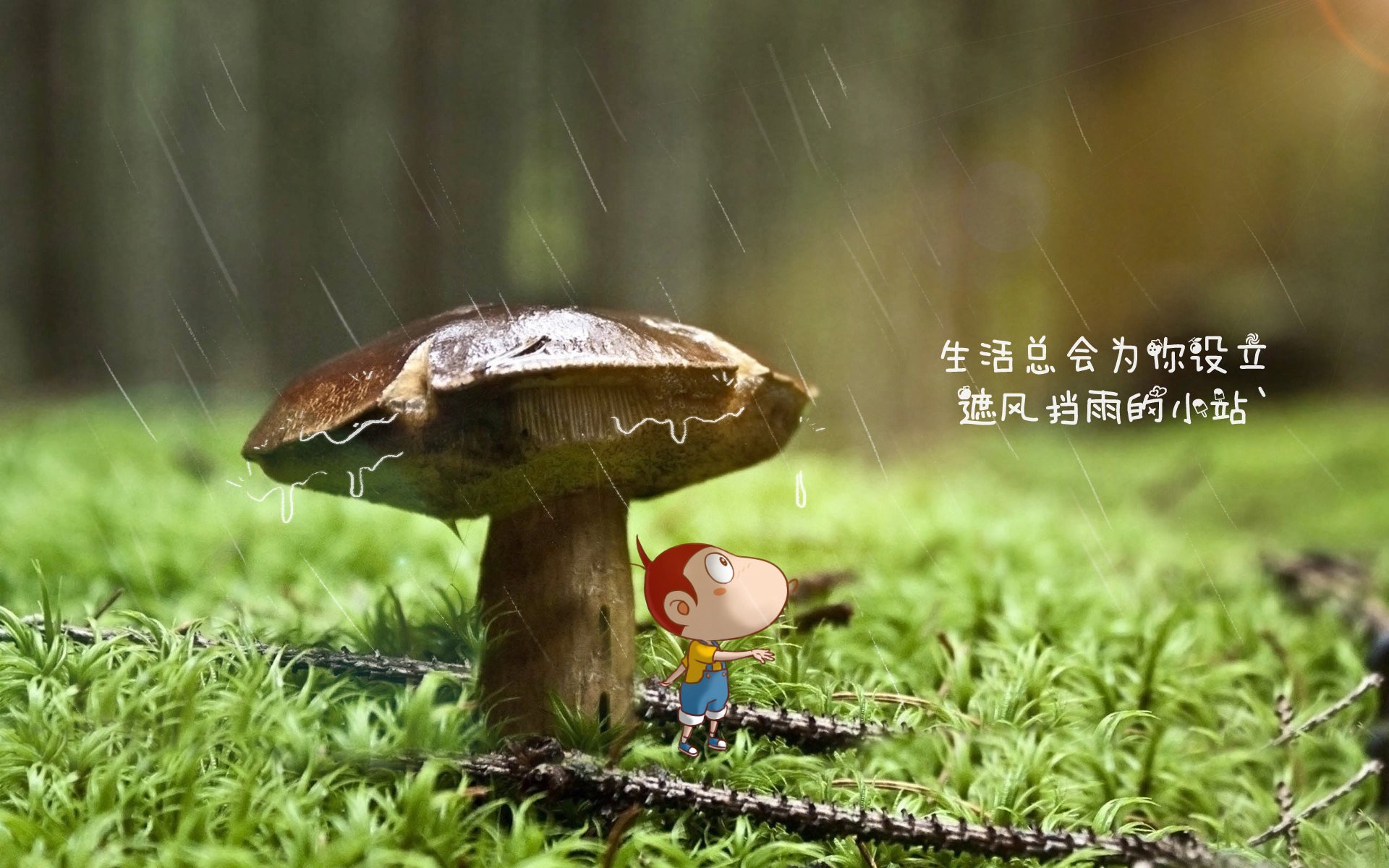 【限时攻守】10秒内投球问世，比赛节奏大提速，内投球视频制作