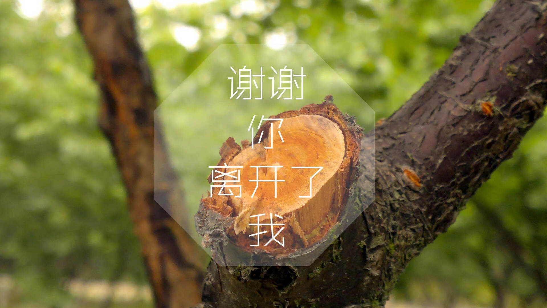 多平台同步直播：实现零距离感受比赛魅力，同步直播今年