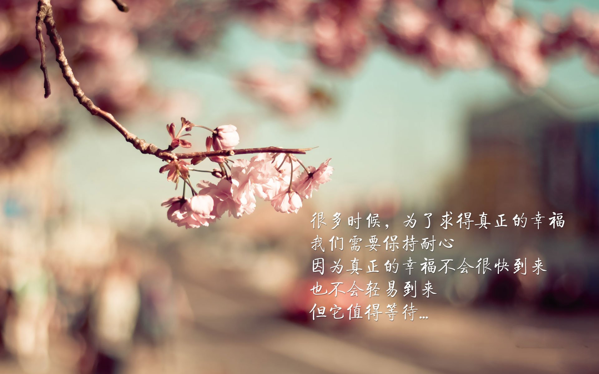 青少年足球联赛多渠道直播，满足全民观赛需求，扩大赛事影响力