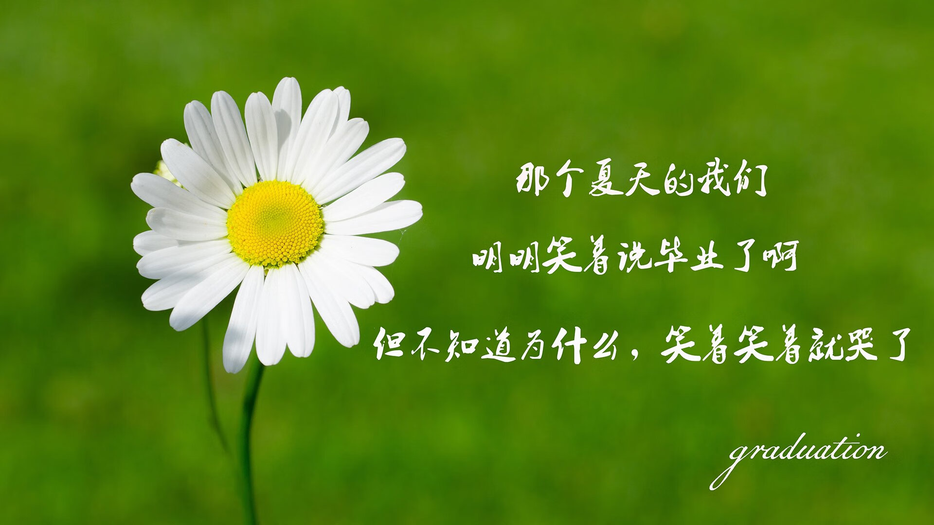 卡利亚里战平对手，积分榜位置维持不变，卡利亚里阵容最新