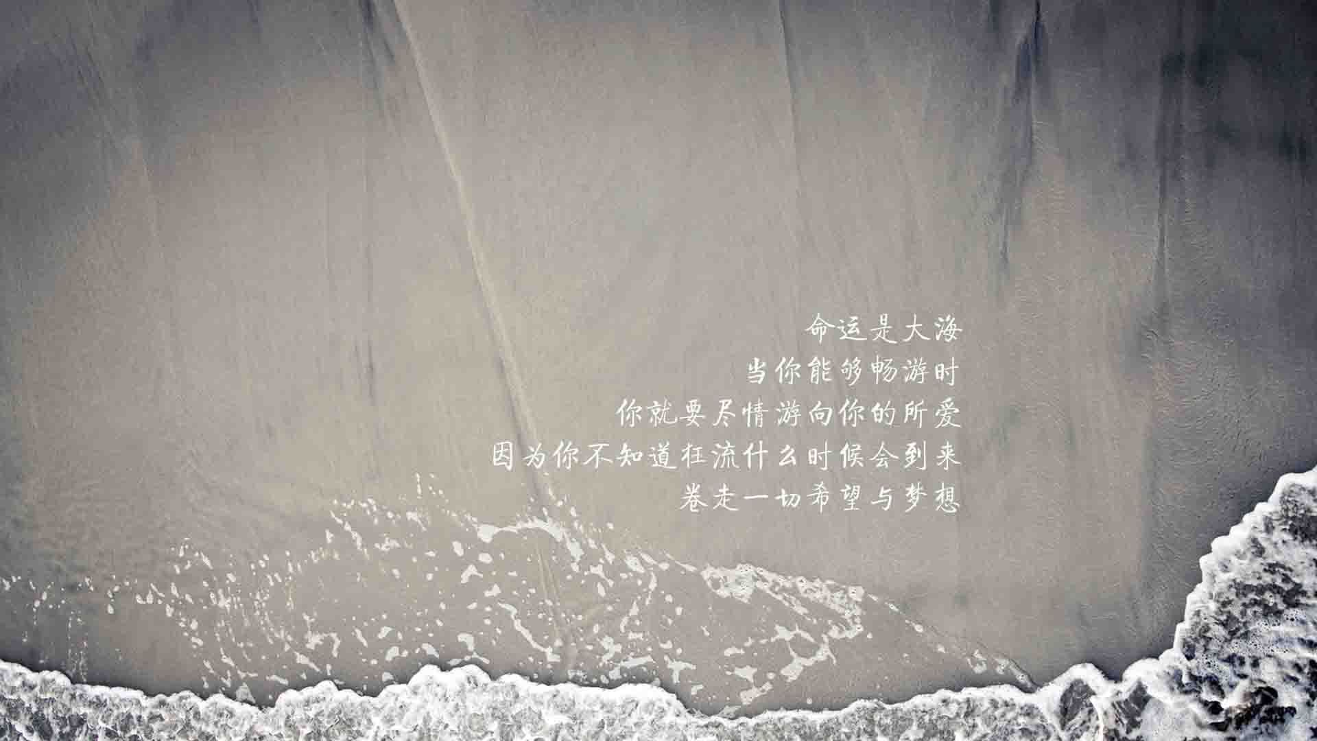 布伦特福德客场战平对手，保级形势平稳，布伦特福德吧