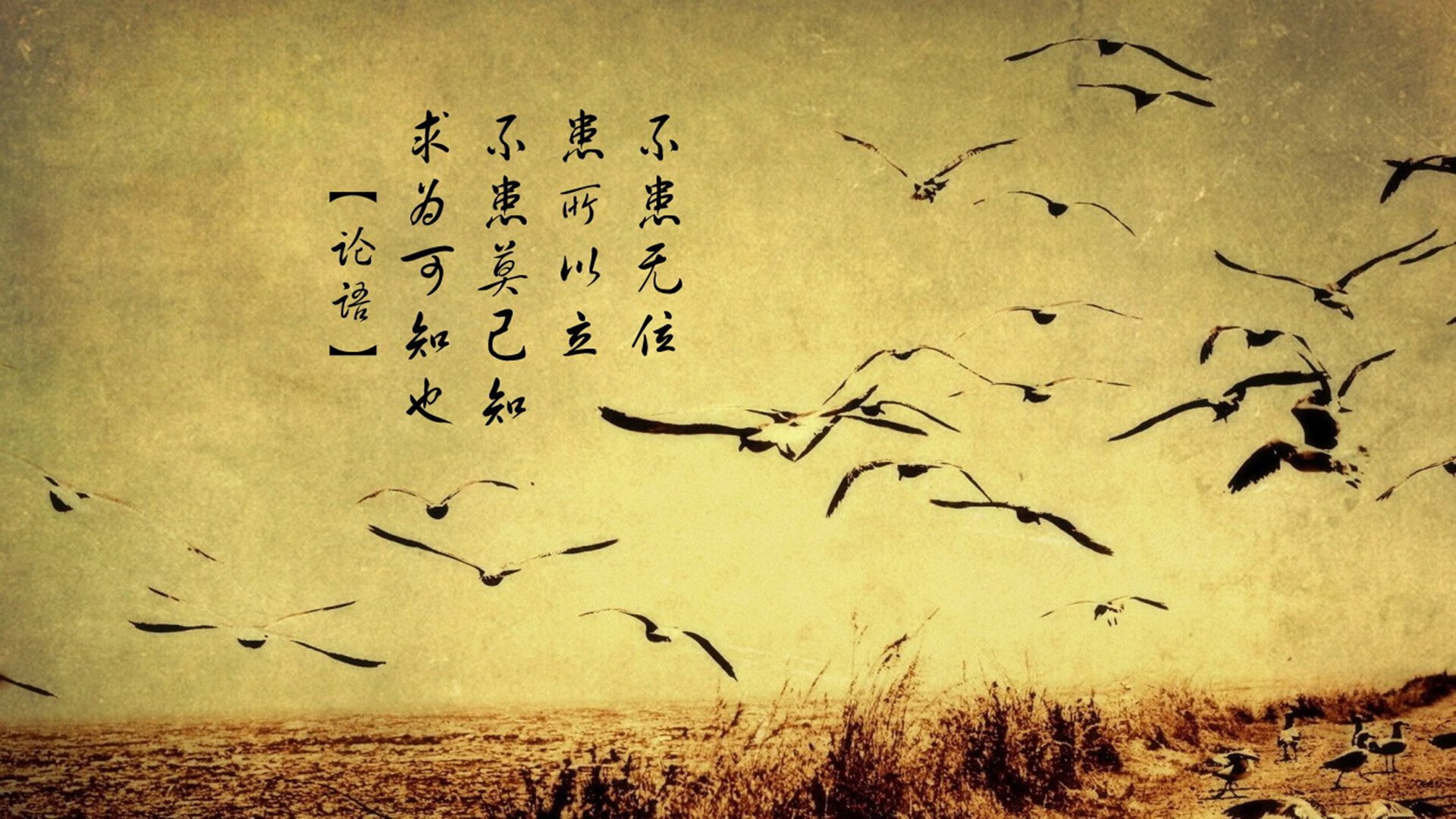 瑞典队未来挑战：如何应对全球乒乓竞技的激烈竞争，瑞典乒乓球公开赛冠军是谁