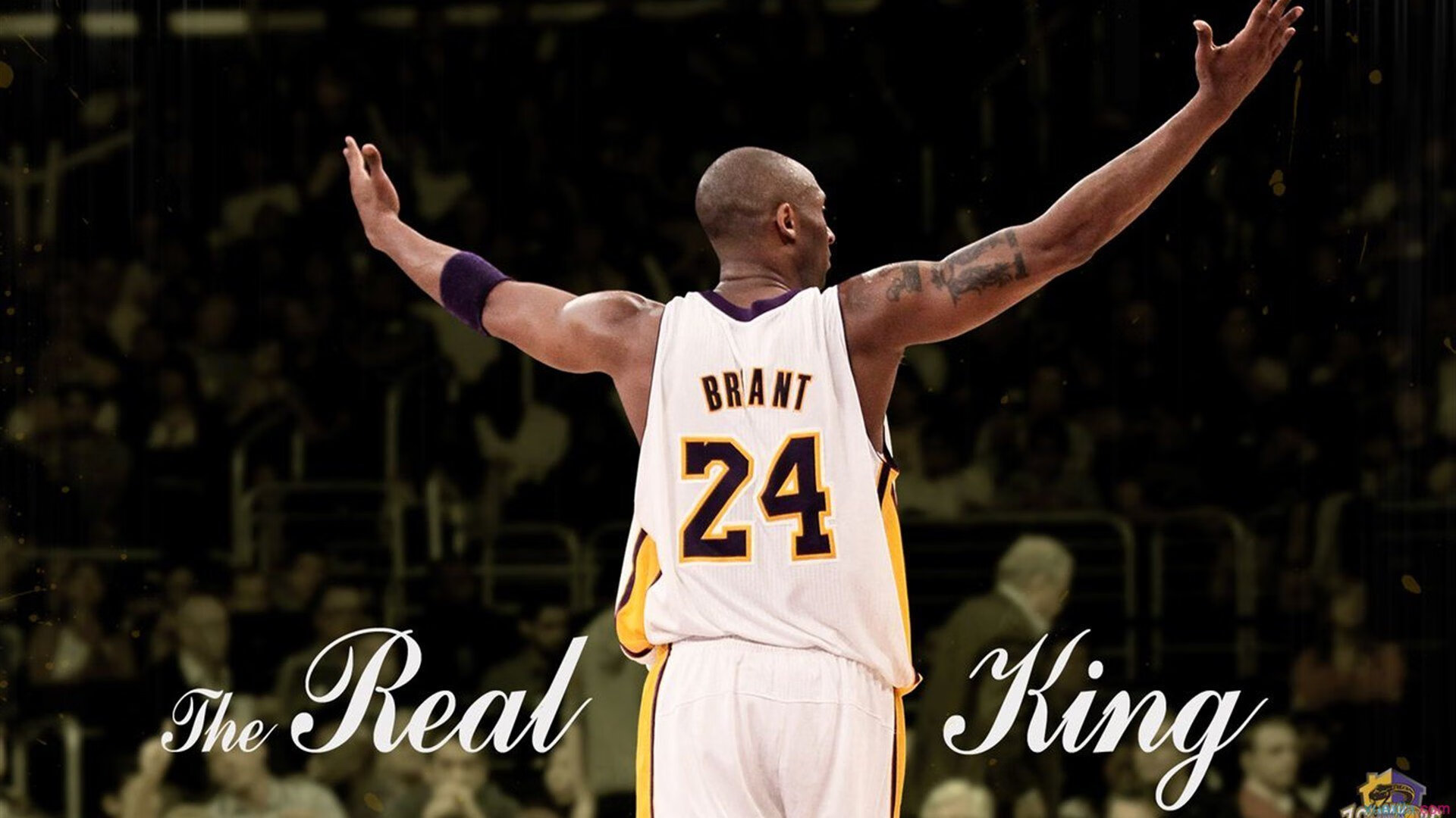 _冰雪奇幻体验：打破传统的极限冰雪运动_，冰雪运动是干嘛的