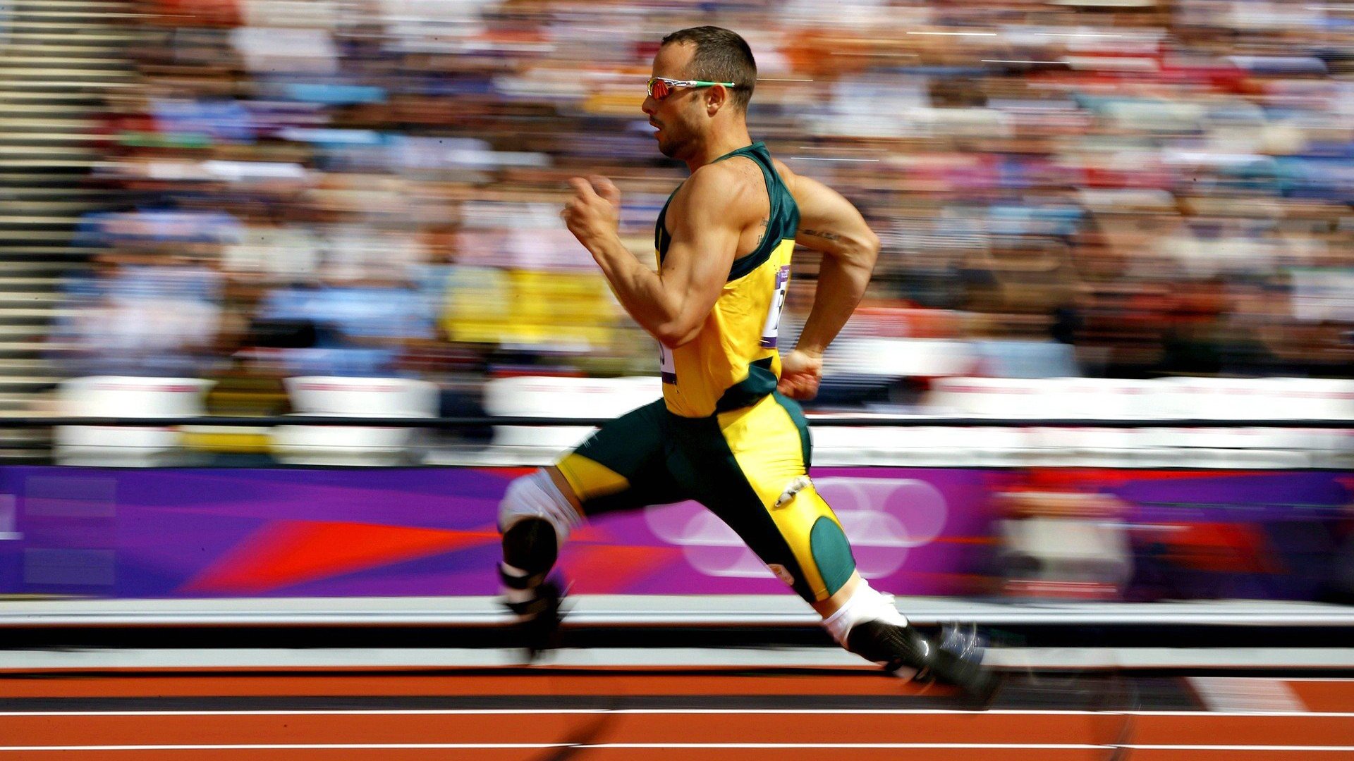 乐鱼网站-篮网球员参与设计地铁艺术墙，NBA融入城市风貌，篮网球馆地面